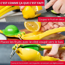 Presse citron et citron jaune manuel détail — WESTMARK