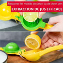 Presse citron et citron jaune manuel présentation — WESTMARK