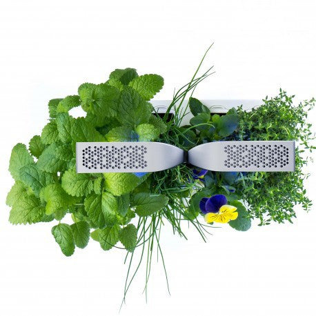 Potager Smart
