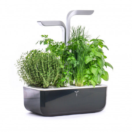 Potager Smart