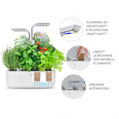 Potager Smart