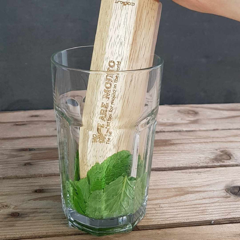 Presse citron kit mojitos